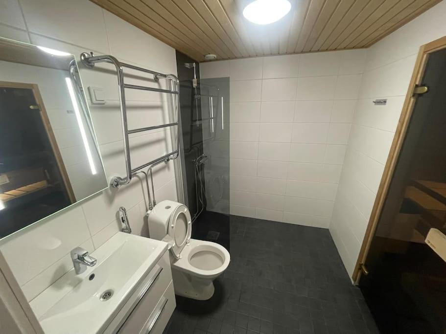 Tilava Kaksio, Saunalla Ja Saehkoeauton Latauksella. Tampere Buitenkant foto
